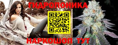 прущие крисы Будённовск